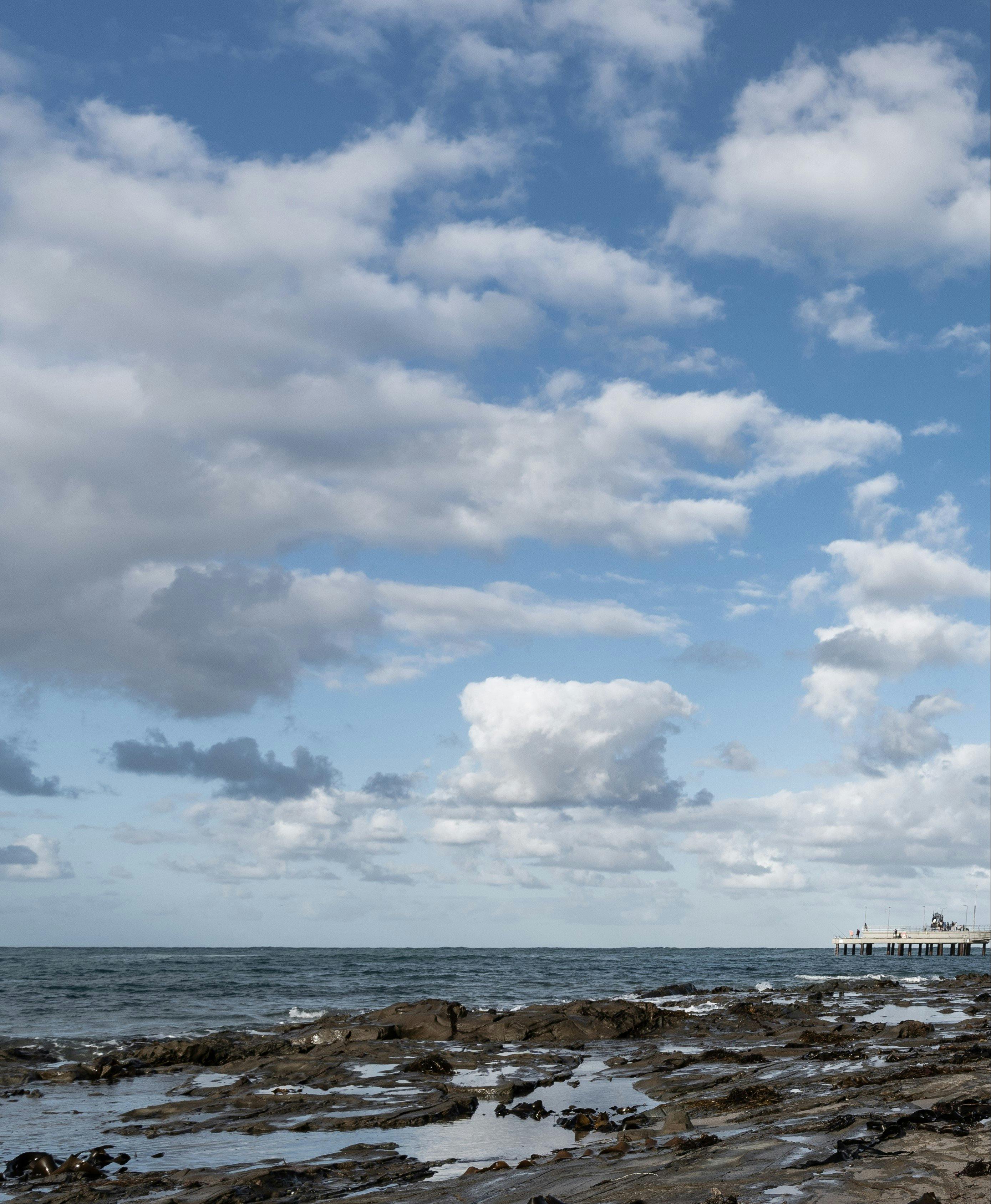 Lorne Sculpture Biennale